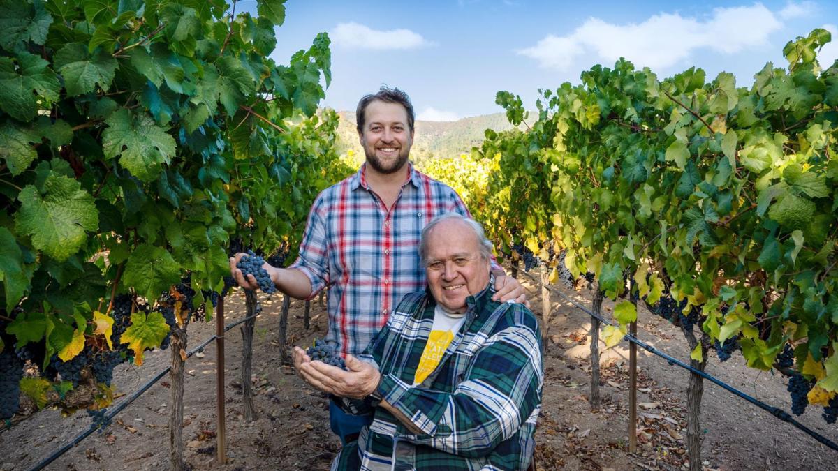 People with grapes in the vineyard